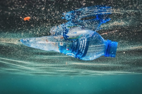 Empty water bottle floating in water